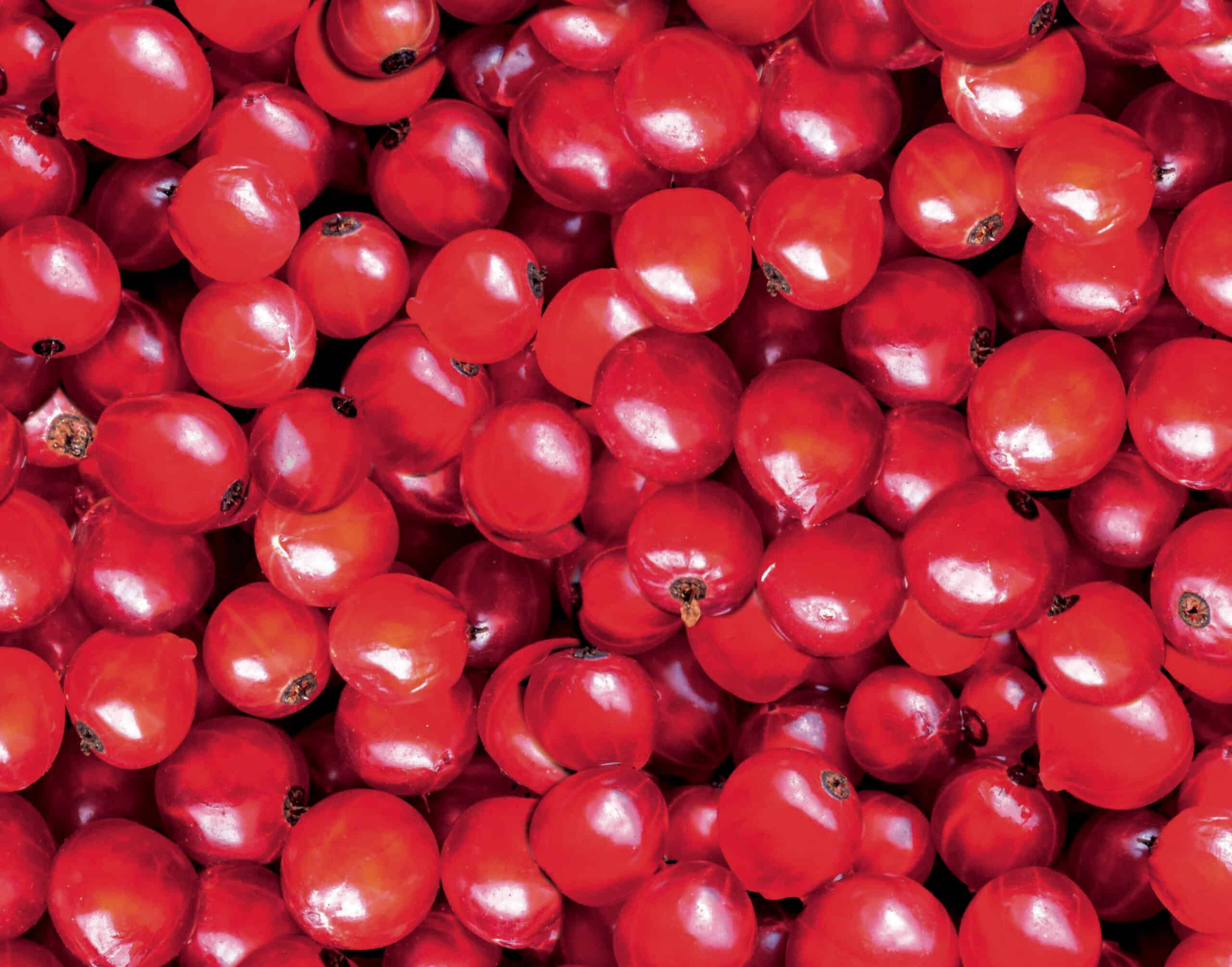 Haufen von Johannisbeeren